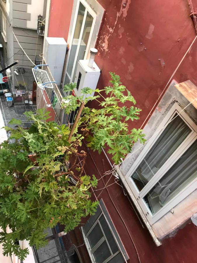 Cisterna'S House 호텔 나폴리 외부 사진
